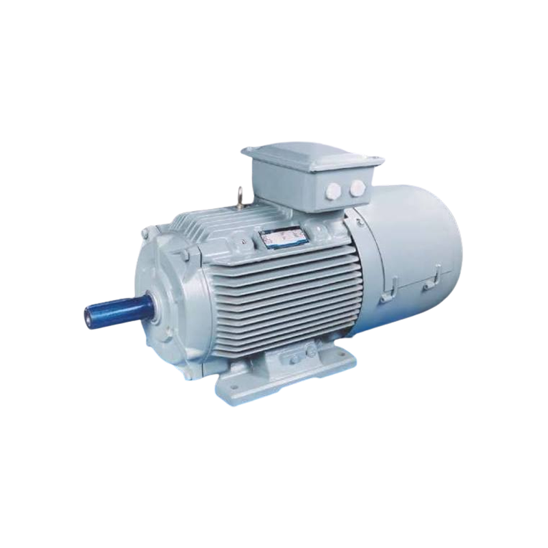 Crane Duty Motor Supplier