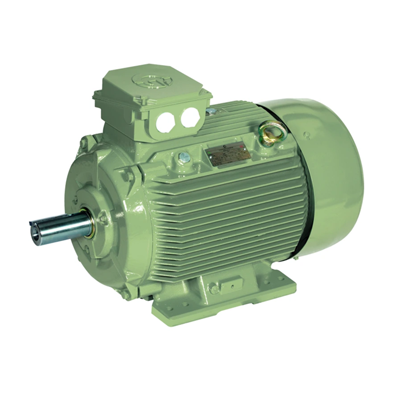 Crusher Duty Motor Supplier