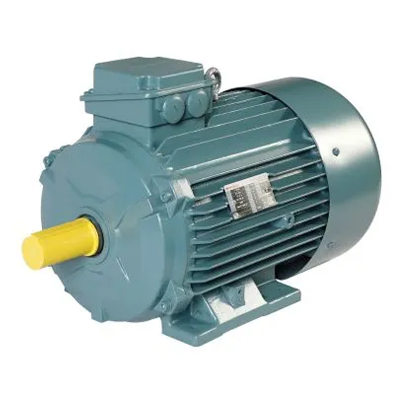 Havells Crane Duty Motor