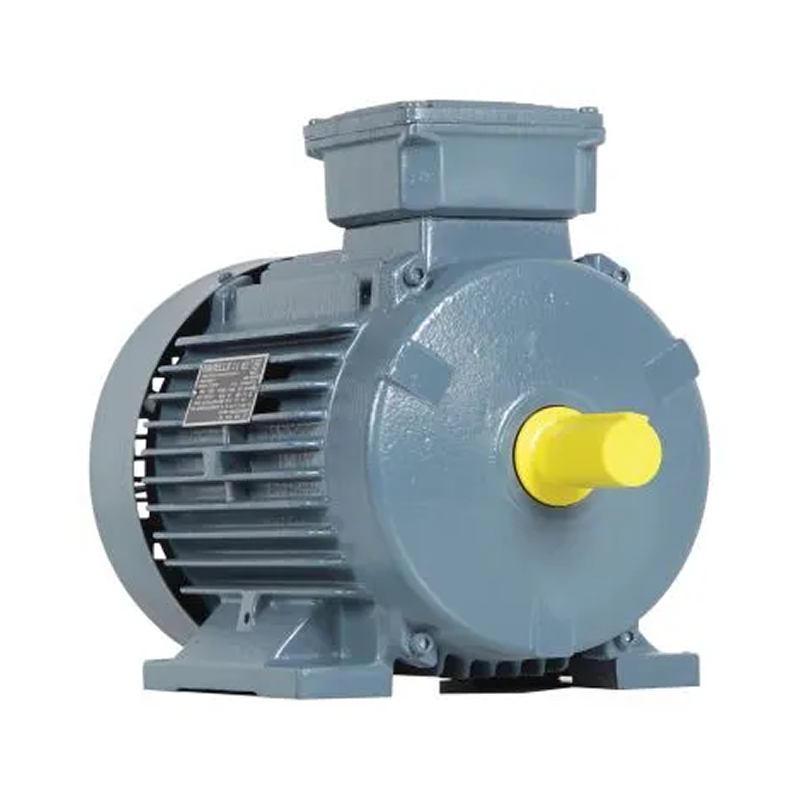Havells IE2 Motors