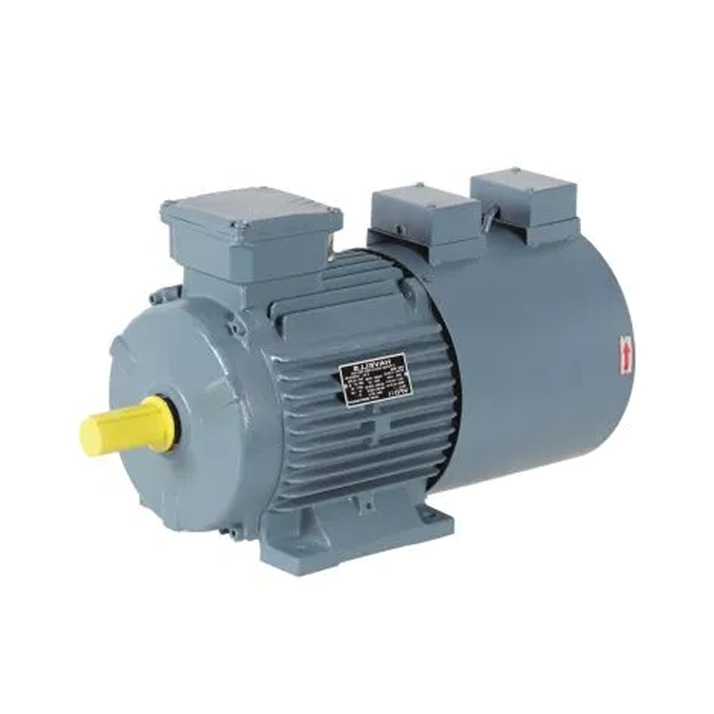 Havells Inverter Duty Motor 