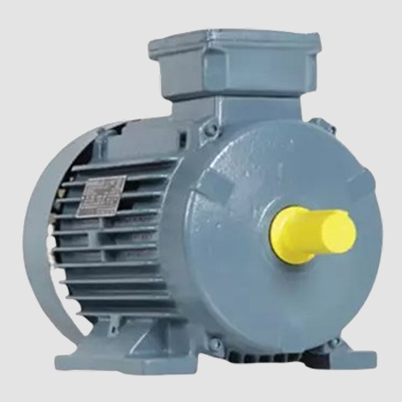 Havells IE2 Motors