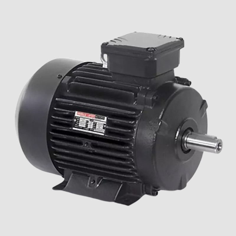 Havells IE3 Motors