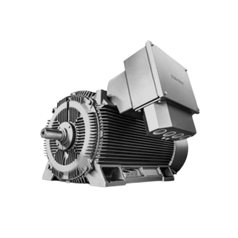 Heavy Duty Motor