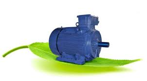 Premium Efficiency IE2 Motor India